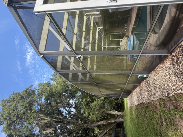 Pool screen enclosure with algae-stained frame before cleaning