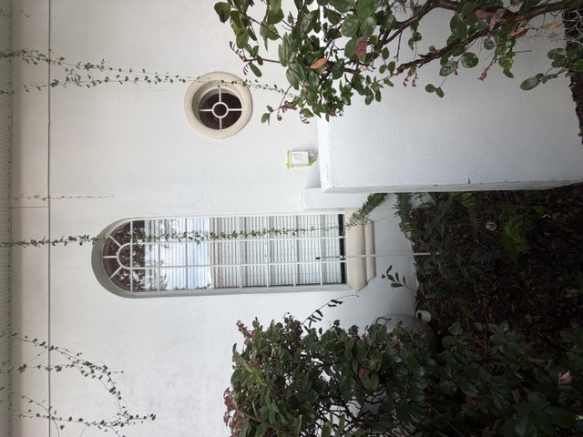 Bright white stucco wall and arched window after soft washing