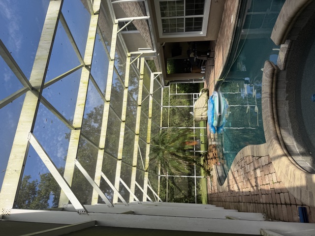 Algae on white pool enclosure beams above the pool before cleaning