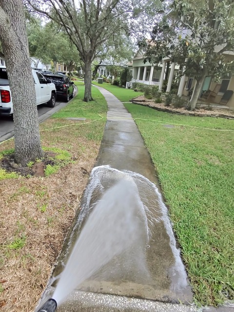 Tree-lined residential sidewalk being cleaned with a wide fan of water